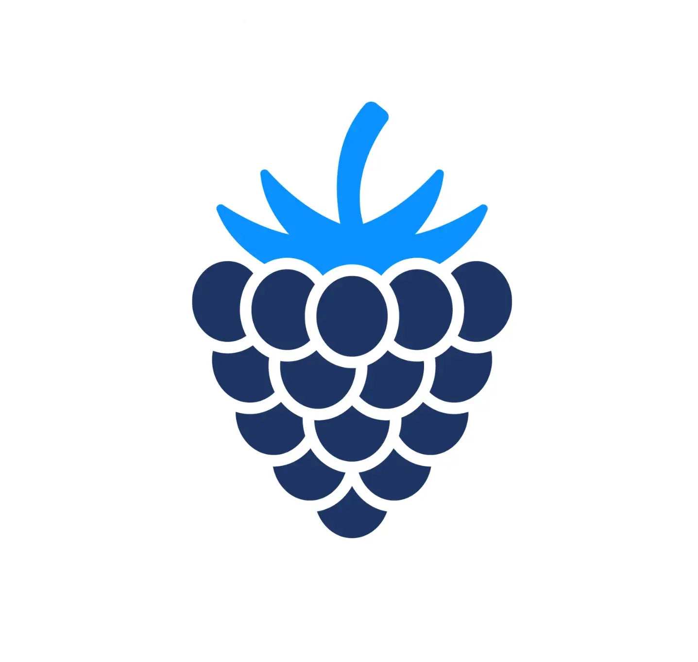 Berry icon