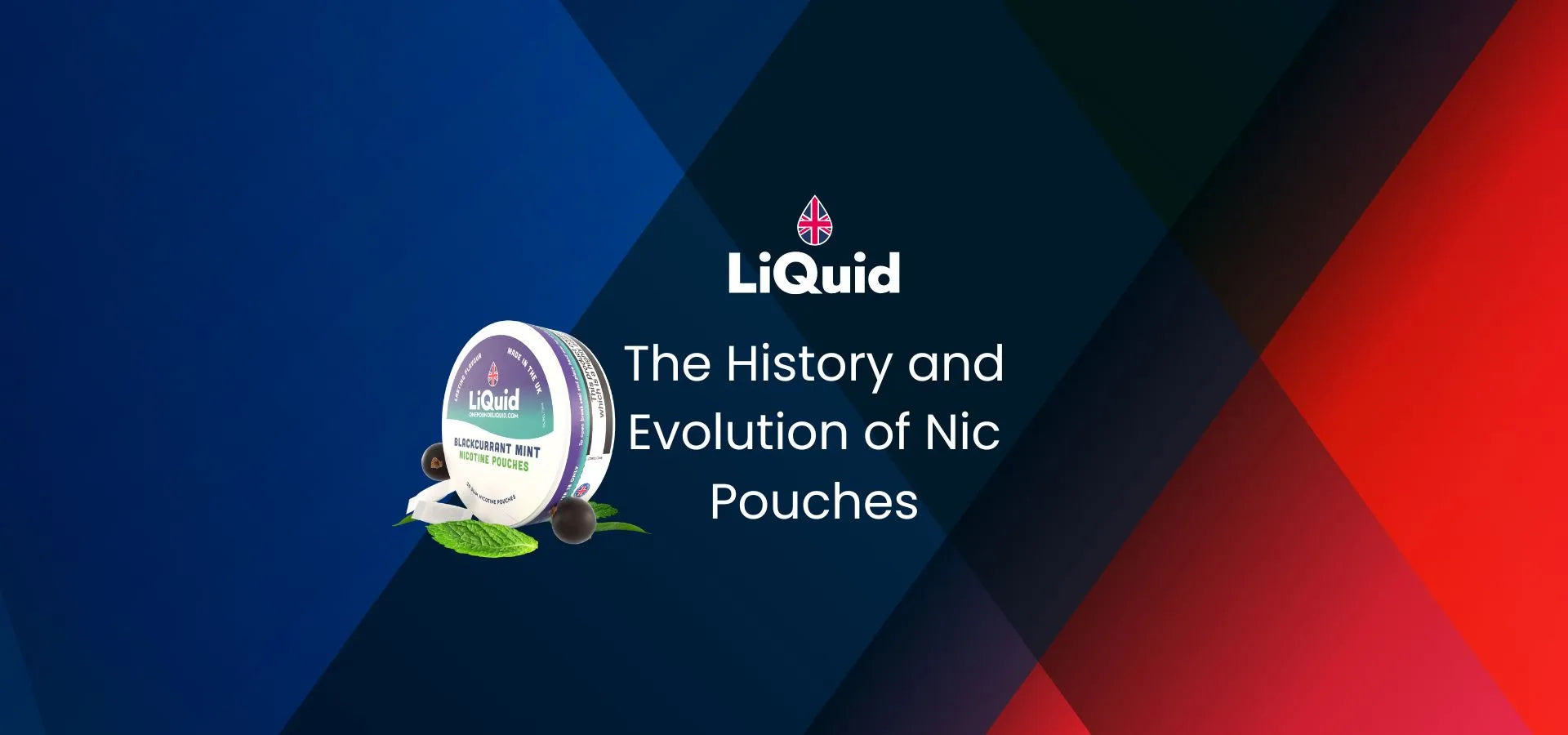 LiQuid header - The History and Evolution of Nic Pouches