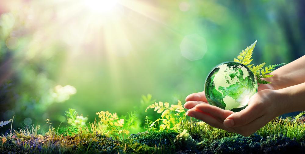 LiQuid CSR - Our Latest Environmental Efforts